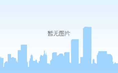 临时保镖服务